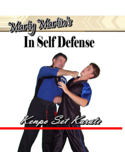 Kenpo Self Defense Technique Training