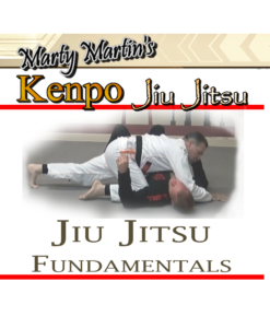 Enter Jiu Jitsu Fundamentals Overview