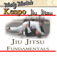 Enter Jiu Jitsu Fundamentals